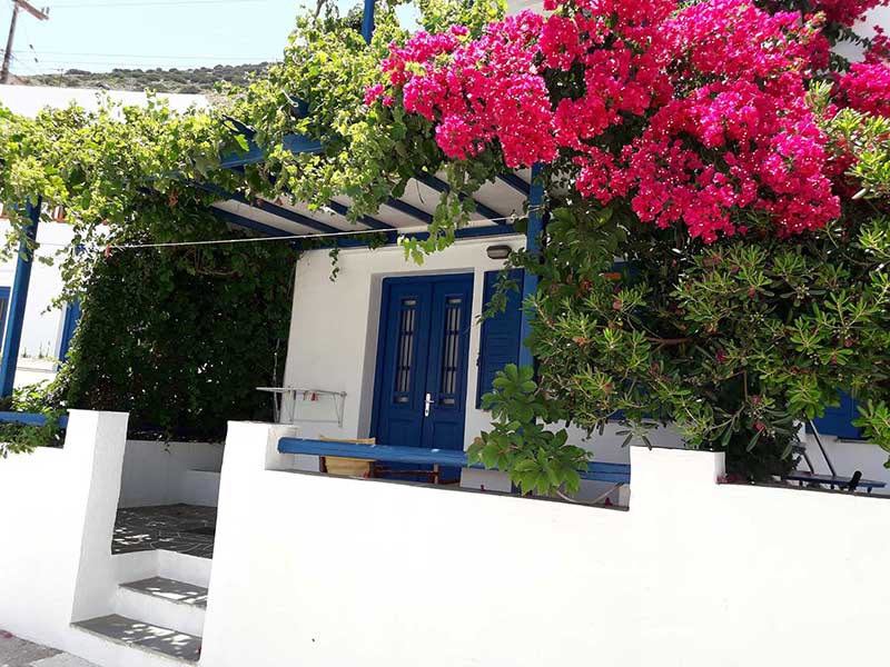 Αυλή με ανθισμένα φυτά στο στούντιο 5