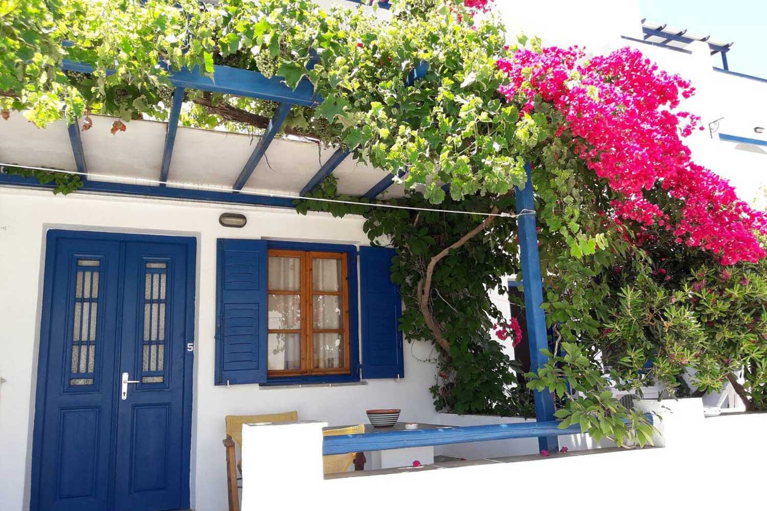 Αυλή με ανθισμένα φυτά